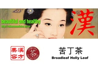 苦丁茶   Broadleaf Holly Leaf  