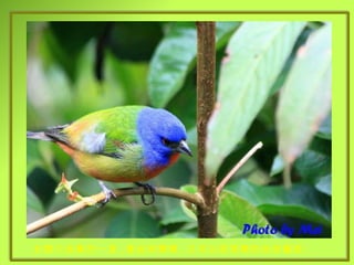 五顏六色集於一身 , 看起來簡單 , 又可以很深奧的色彩藝術 . 