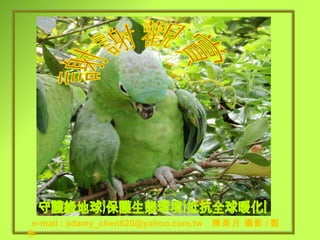 e-mail : adamy_chen620@yahoo.com.tw  陳美月 攝影 / 製作   謝 謝 觀 賞 守護綠地球,保護生態環境,抵抗全球暖化. 