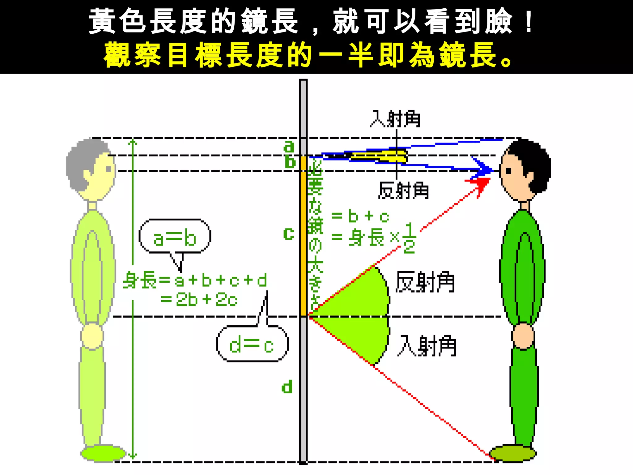 黃色長度的鏡長，就可以看到臉！ 觀察目標長度的一半即為鏡長。 