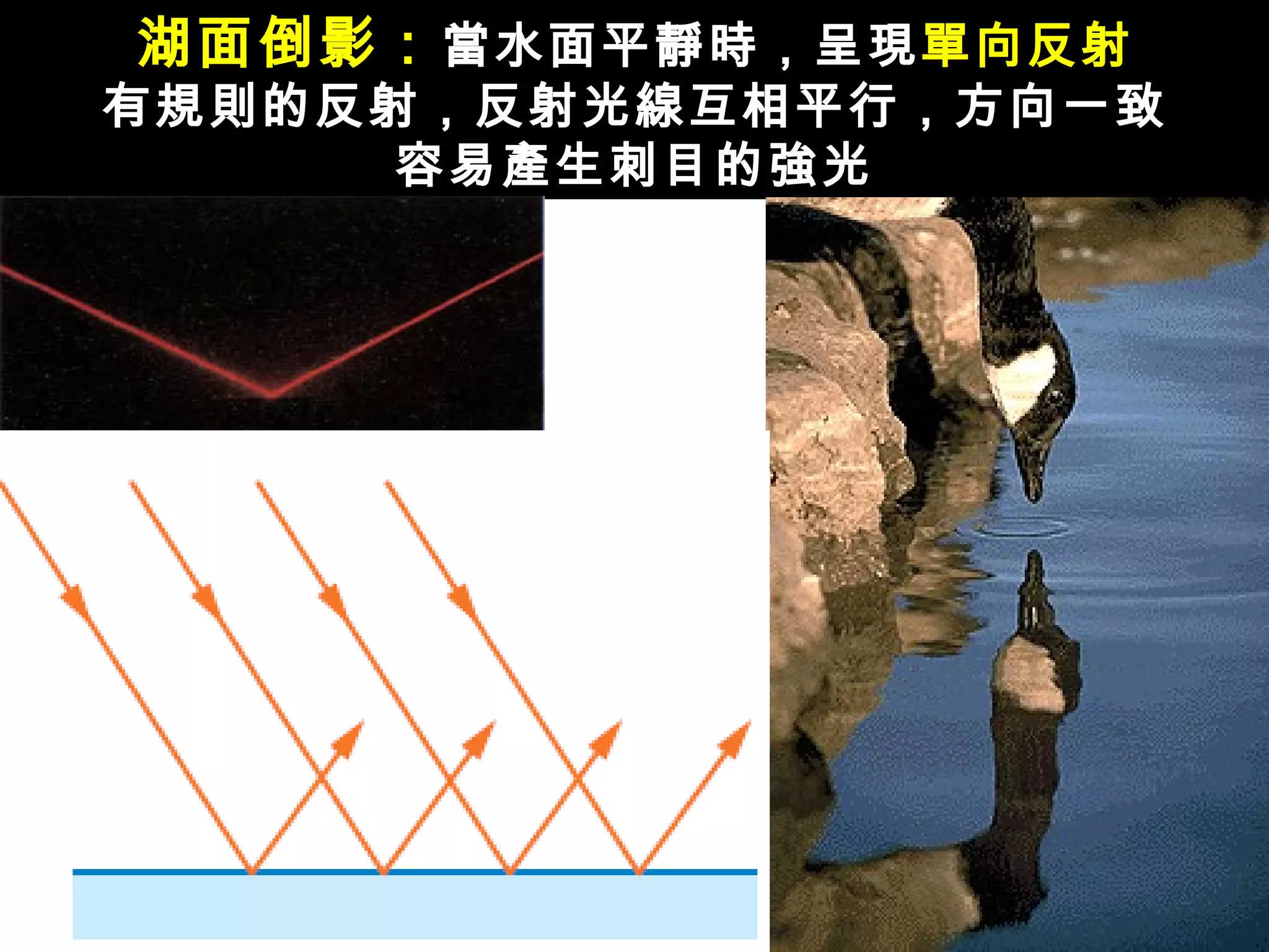 湖面倒影： 當水面平靜時，呈現 單向反射 有規則的反射，反射光線互相平行，方向一致 容易產生刺目的強光 