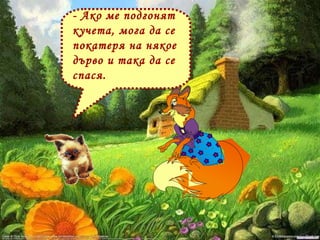 - Ако ме подгонят кучета, мога да се покатеря на някое дърво и така да се спася.  