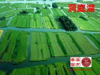 洞庭湖<br />http://chinesemedicine.yo2.cn<br />
