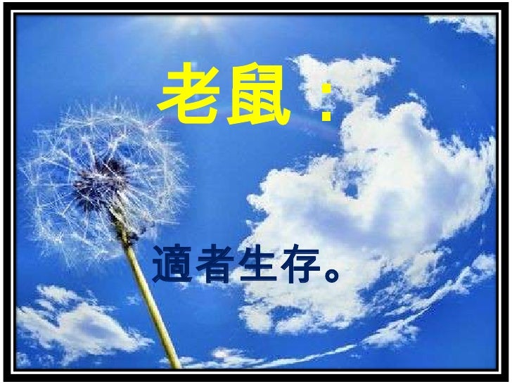 動物名言 動物名言