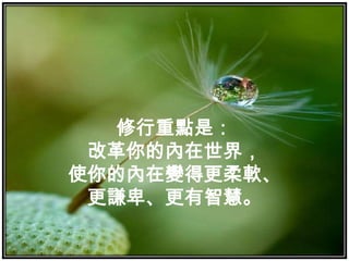 修行重點是：改革你的內在世界，使你的內在變得更柔軟、更謙卑、更有智慧。