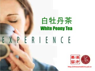 白牡丹茶 White Peony Tea http://chinesemedicine.yo2.cn 