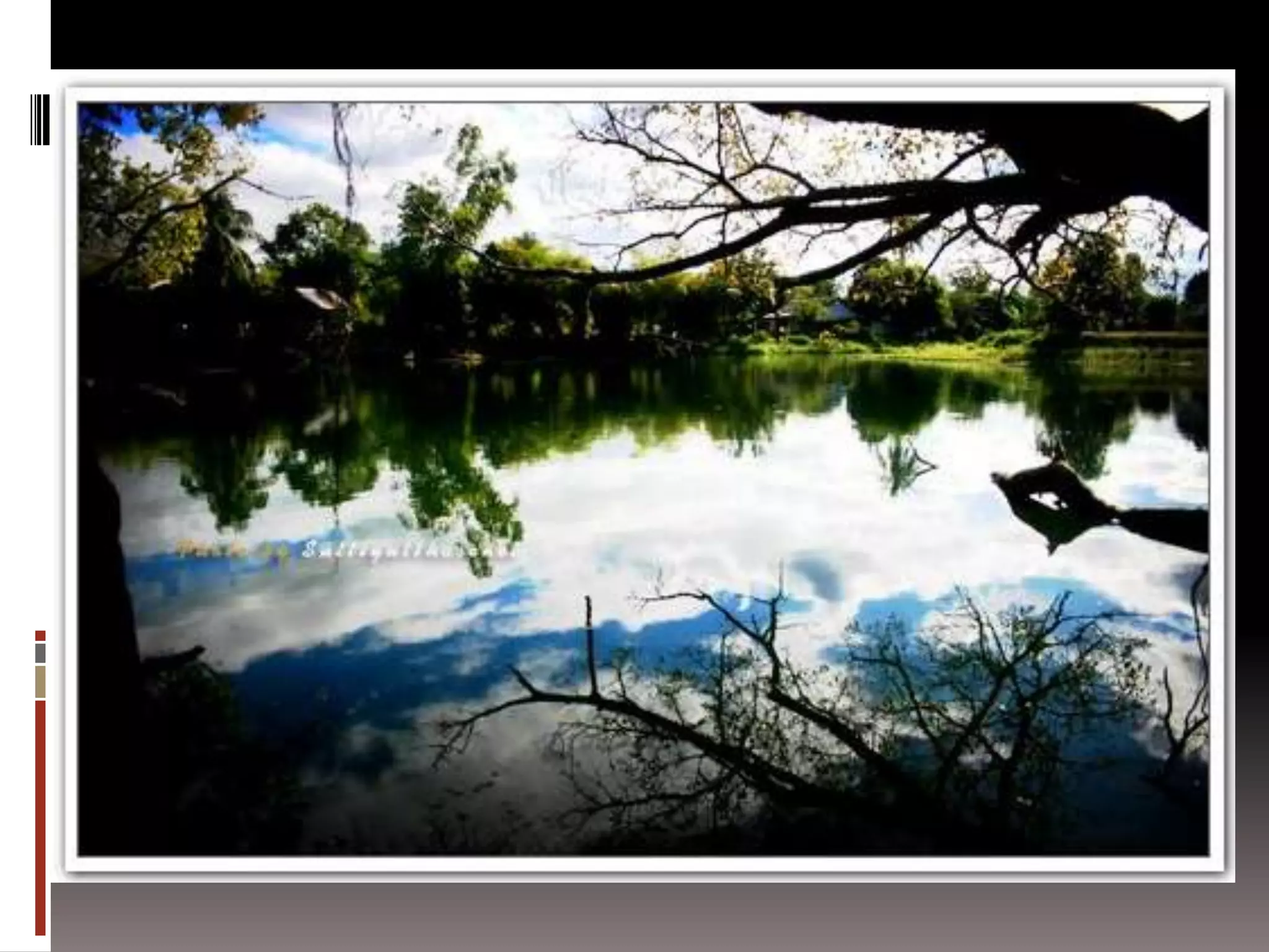 การถ่ายภาพเบื้องต้น