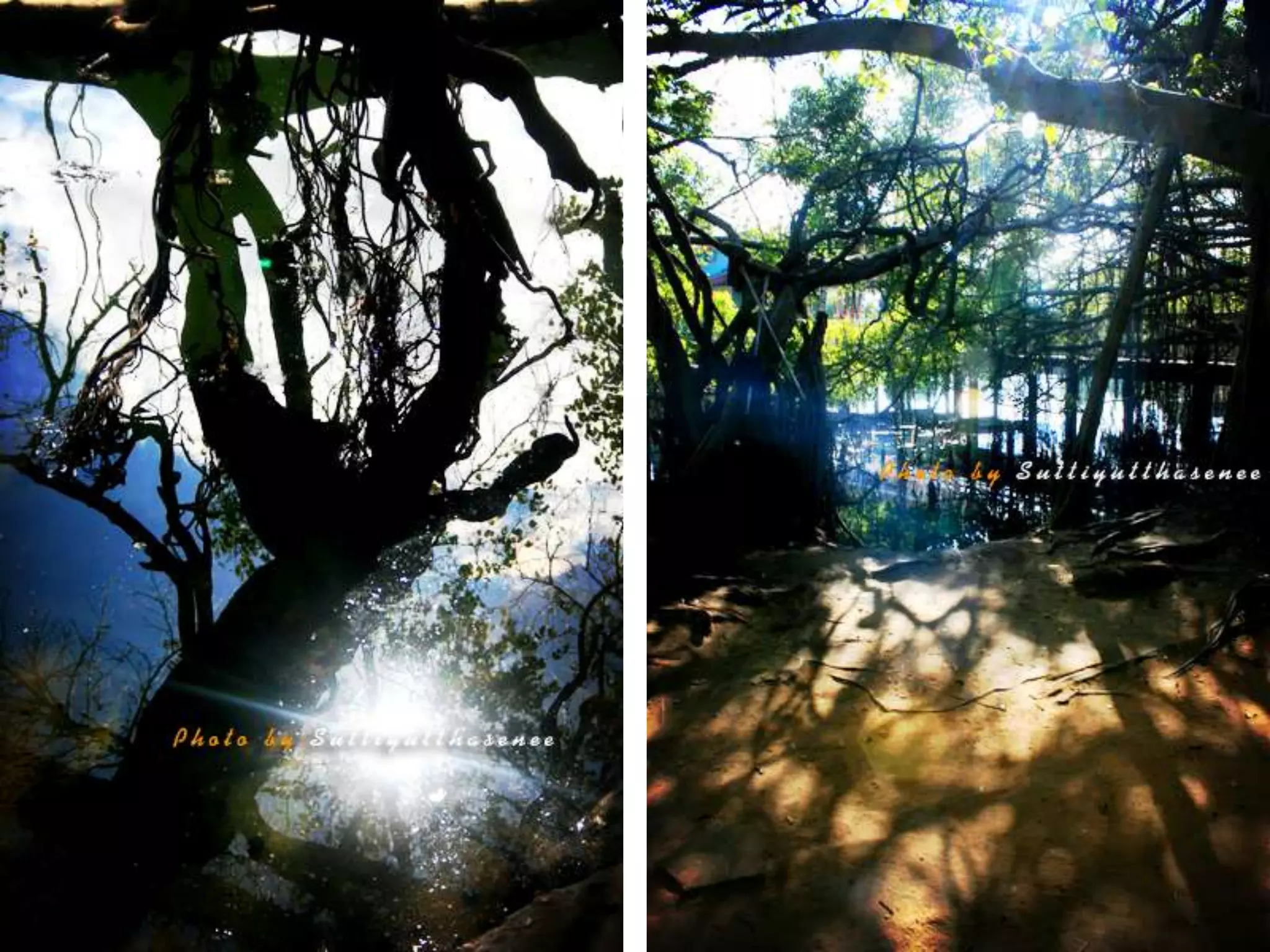 การถ่ายภาพเบื้องต้น