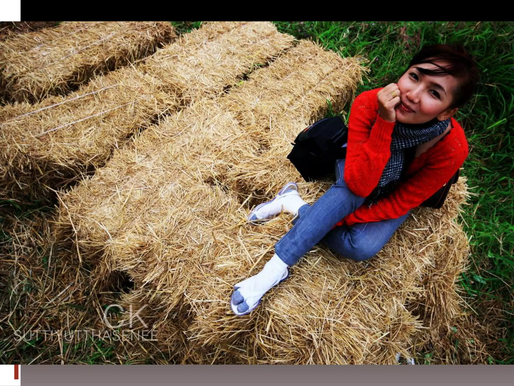 การถ่ายภาพเบื้องต้น