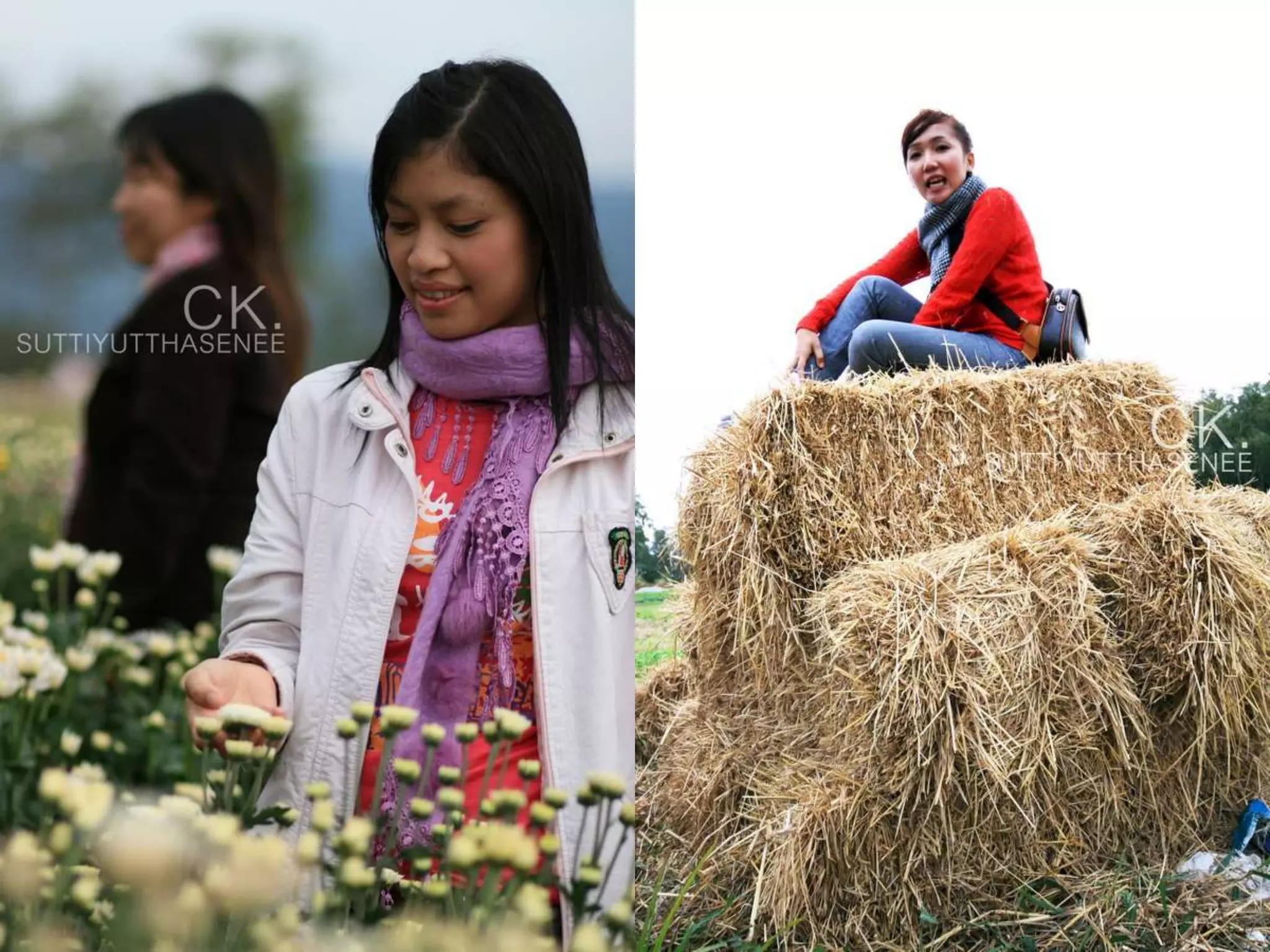 การถ่ายภาพเบื้องต้น