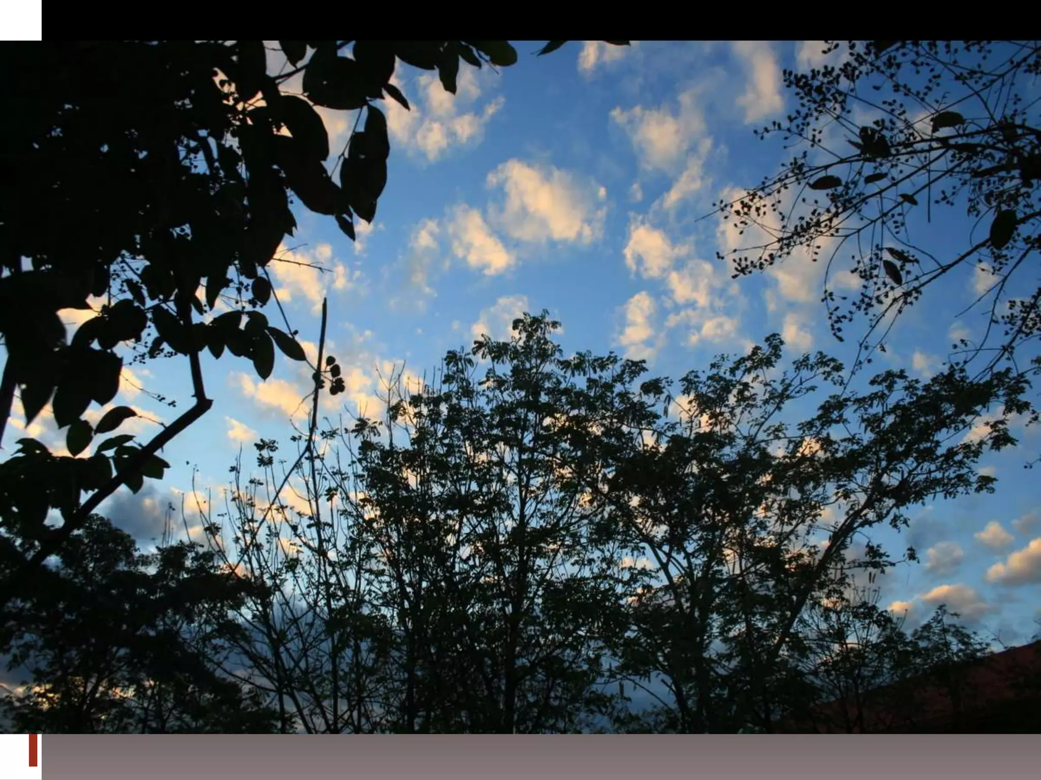 การถ่ายภาพเบื้องต้น