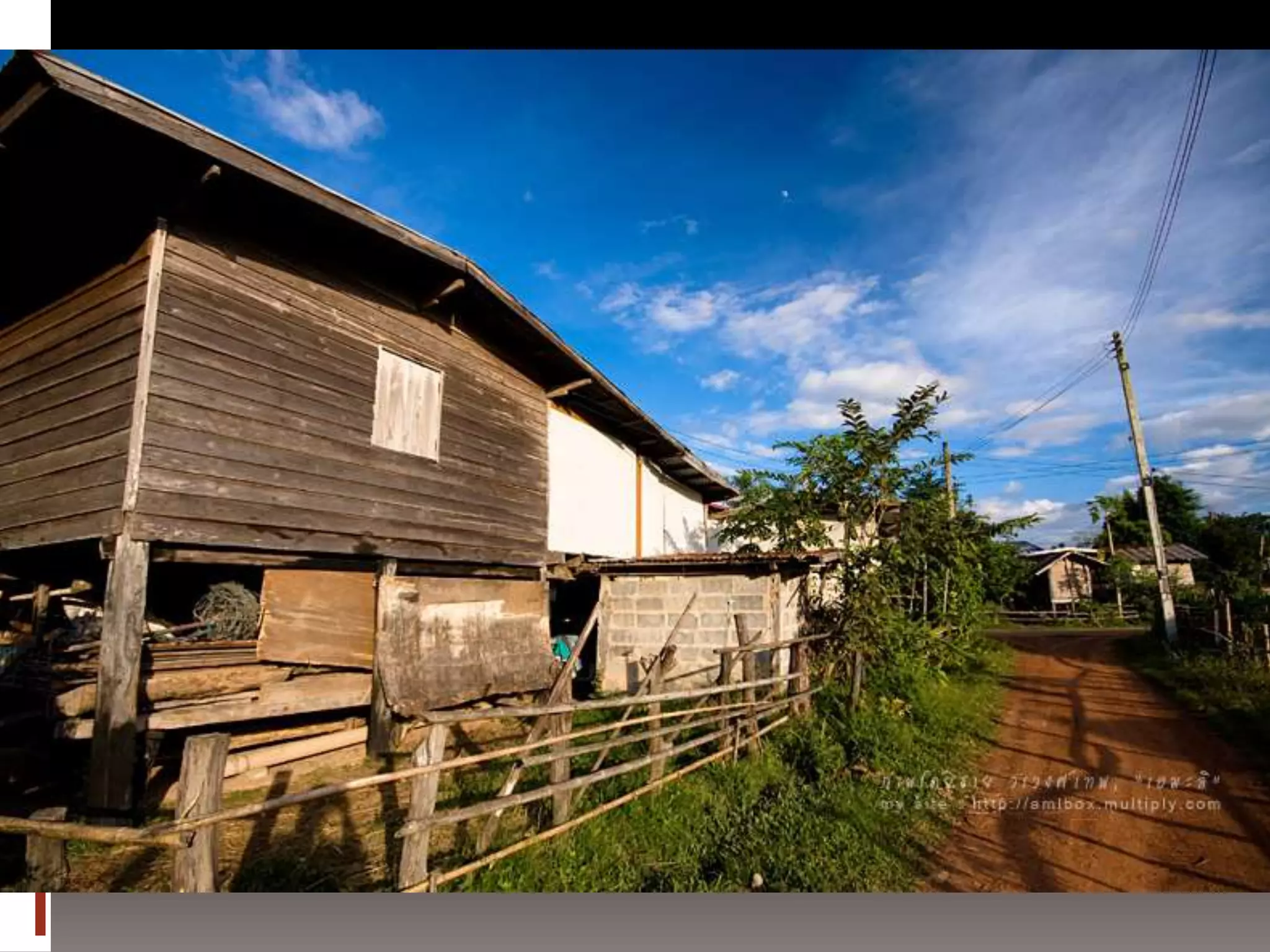 การถ่ายภาพเบื้องต้น