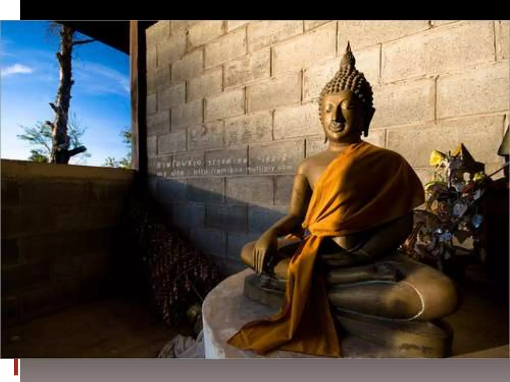 การถ่ายภาพเบื้องต้น