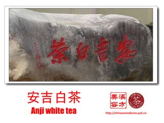 安吉白茶 Anji white tea http://chinesemedicine.yo2.cn 