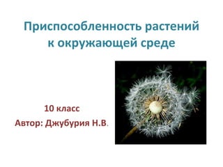 Приспособленность растений к окружающей среде 10 класс Автор: Джубурия Н.В . 