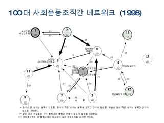 100 대 사회운동조직간 네트워크  (1998) 
