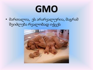 GMO
• მართალია, ეს არარეალურია, მაგრამ
  შეიძლება რეალობად იქცეს
 