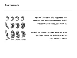 ‫‪Embryogenesis‬‬




                     ‫בספר ‪ Difference and Repetition‬דלז חוקר‬
                  ‫תהליכים של התפתחות אורגניזמים שונים. אורגניזמים‬
                       ‫אלה למרות השוני, מקורם מאותן יחידות בסיס.‬



                ‫חומרים ואורגניזמים נושאים את תכונות היסוד המולידות‬
                     ‫עבורם צורה, בדיוק כפי שדיאגראמה נושאת תוכן‬
                                         ‫ופונקציה מהם נובעת צורה.‬
 