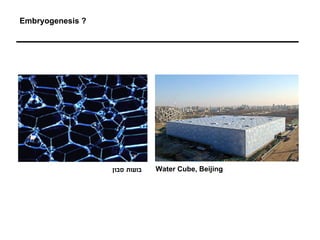 Embryogenesis ?




                  ‫בועות סבון‬   Water Cube, Beijing
 