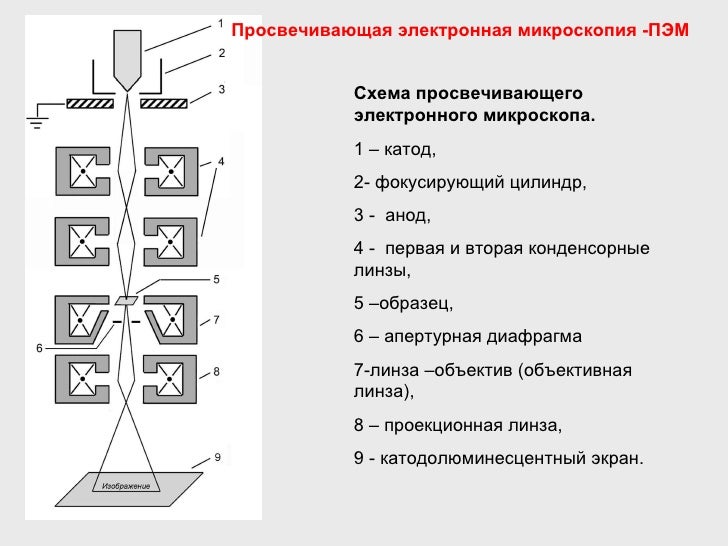 Принципиальная схема сканирующего электронного микроскопа. Принцип работы электронного микроскопа схема. Принцип работы электронного микроскопа. Электронная микроскопия. Принцип работы электронного микроскопа.