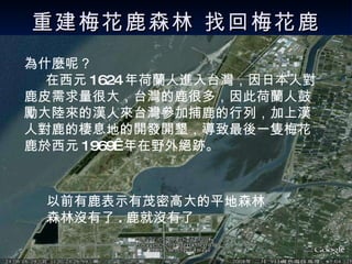重建梅花鹿森林 找回梅花鹿 為什麼呢？ 在西元 1624 年荷蘭人進入台灣，因日本人對鹿皮需求量很大，台灣的鹿很多，因此荷蘭人鼓勵大陸來的漢人來台灣參加捕鹿的行列，加上漢人對鹿的棲息地的開發開墾，導致最後一隻梅花鹿於西元 1969  年在野外絕跡。 以前有鹿表示有茂密高大的平地森林  森林沒有了 . 鹿就沒有了 