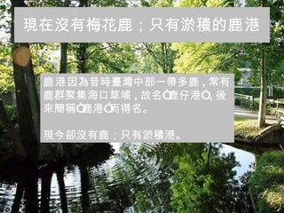 現在沒有梅花鹿；只有淤積的 鹿港 鹿港 因為昔時臺灣中部一帶多鹿 , 常有鹿群聚集海口草埔 , 故名“鹿仔港” , 後來簡稱“鹿港”而得名。 現今卻沒有鹿；只有淤積港。 