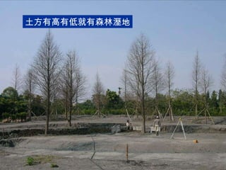 土方有高有低就有森林溼地 