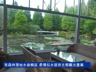 有森林溼地水曲蜿延 柔情似水就有生態觀光產業 