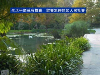 生活平順就有機會  誰會無聊想加入黑社會 