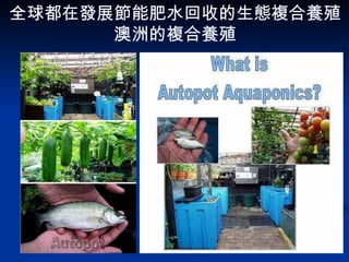 全球都在發展節能肥水回收的生態複合養殖 澳洲的複合養殖 