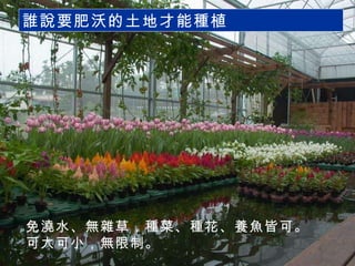 免澆水、無雜草，種菜、種花、養魚皆可。 可大可小，無限制。 誰說要肥沃的土地才能種植 