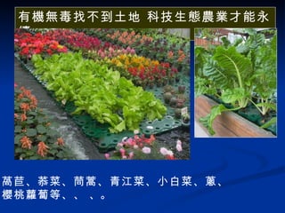 有機無毒找不到土地 科技生態農業才能永續 萵苣、菾菜、茼蒿、青江菜、小白菜、蔥、 櫻桃蘿蔔等、、  、。 