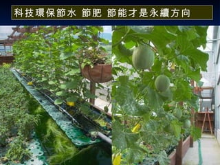 科技環保節水 節肥 節能才是永續方向 