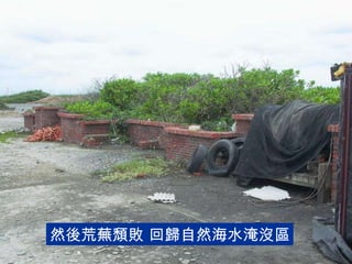 然後荒蕪頹敗 回歸自然海水淹沒區 