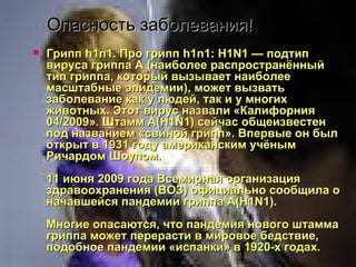 Опасность заболевания! Грипп h1n1. Про грипп h1n1: H1N1 — подтип вируса гриппа А (наиболее распространённый тип гриппа, который вызывает наиболее масштабные эпидемии), может вызвать заболевание как у людей, так и у многих животных. Этот вирус назвали «Калифорния 04/2009». Штамм А(H1N1) сейчас общеизвестен под названием «свиной грипп». Впервые он был открыт в 1931 году американским учёным Ричардом Шоупом. 11 июня 2009 года Всемирная организация здравоохранения (ВОЗ) официально сообщила о начавшейся пандемии гриппа A(H1N1). Многие опасаются, что пандемия нового штамма гриппа может перерасти в мировое бедствие, подобное пандемии «испанки» в 1920-х годах.   
