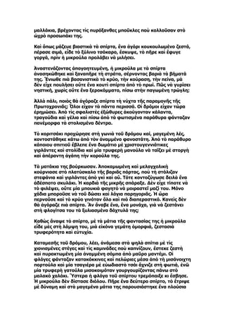 μαλλάκια, βρέχοντας τὶς πυρόξανθες μποῦκλες ποὺ κολλοῦσαν στὸ
ὠχρὸ προσωπάκι της.

Καὶ ὅπως μάζευε βιαστικὰ τὰ σπίρτα, ἕνα ἀγόρι κουκουλωμένο ζεστά,
πέρασε σιμά, εἶδε τὸ ξύλινο τσόκαρο, ἔσκυψε, τὸ πῆρε καὶ ἔφυγε
γοργά, πρὶν ἡ μικρούλα προλάβει νὰ μιλήσει.

Ἀναστενάζοντας ἀπογοητευμένη, ἡ μικρούλα με τὰ σπίρτα
ἀνασηκώθηκε καὶ ξαναπῆρε τὴ στράτα, σέρνοντας βαριὰ τὰ βήματά
της. Ἔνιωθε πιὰ βασανιστικὰ τὸ κρύο, τὴν κούραση, τὴν πείνα, μὰ
δὲν εἶχε πουλήσει οὔτε ἕνα κουτὶ σπίρτα ἀπὸ τὸ πρωί. Πῶς νὰ γυρίσει
νηστική, χωρὶς οὔτε ἕνα ξεροκόμματο, πίσω στὴν παγωμένη τρώγλη;

Ἀλλὰ πάλι, ποιὸς θὰ ἀγόραζε σπίρτα τὴ νύχτα τῆς παραμονῆς τῆς
Πρωτοχρονιᾶς; Ὅλοι εἶχαν τὰ πάντα περισσά. Οἱ δρόμοι εἶχαν τώρα
ἐρημώσει. Ἀπὸ τὶς σφαλιστὲς ἐξώθυρες ἀκούγονταν κάλαντα,
τραγούδια καὶ γέλια καὶ πίσω ἀπὸ τὰ φωτισμένα παράθυρα φάνταζαν
πανέμορφα τὰ στολισμένα δέντρα.

Τὸ κοριτσάκι προχώρησε στὴ γωνιὰ τοῦ δρόμου καί, μαγεμένη λές,
κοντοστάθηκε κάτω ἀπὸ τὸν ἀναμμένο φανοστάτη. Ἀπὸ τὸ παράθυρο
κάποιου σπιτιοῦ ἔβλεπε ἕνα δωμάτιο μὲ χριστουγεννιάτικες
γιρλάντες καὶ στολίδια καὶ μία τρυφερὴ μανούλα νὰ ταΐζει μὲ στοργὴ
καὶ ἀπέραντη ἀγάπη τὴν κορούλα της.

Τὰ ματάκια της βούρκωσαν. Ἀποκαμωμένη καὶ μελαγχολικὴ
κούρνιασε στὸ πλατύσκαλο τῆς βαριᾶς πόρτας, ποὺ τὴ στόλιζαν
στεφάνια καὶ γιρλάντες ἀπὸ γκὶ καὶ οὔ. Τότε κοντοζύγωσε δειλὰ ἕνα
ἀδέσποτο σκυλάκι. Ἡ καρδιὰ τῆς μικρῆς σπάραξε. Δὲν εἶχε τίποτε νὰ
τὸ φιλέψει, οὔτε μία μπουκιὰ φαγητὸ νὰ μοιραστεῖ μαζί του. Μόνο
χάδια μποροῦσε νὰ τοῦ δώσει καὶ λόγια παρηγοριᾶς. Ἡ ὥρα
περνοῦσε καὶ τὸ κρύο γινόταν ὅλο καὶ πιὸ διαπεραστικό. Κανεὶς δὲν
θὰ ἀγόραζε πιὰ σπίρτα. Ἂν ἄναβε ἕνα, ἕνα μονάχα, γιὰ νὰ ζεστάνει
στὴ φλογίτσα του τὰ ξυλιασμένα δάχτυλά της;

Καθὼς ἄναψε τὸ σπίρτο, μὲ τὰ μάτια τῆς φαντασίας της ἡ μικρούλα
εἶδε μὲς στὴ λάμψη του, μιὰ εἰκόνα γεμάτη ὀμορφιά, ζεστασιὰ
τρυφερότητα καὶ εὐτυχία.

Καταμεσῆς τοῦ δρόμου, λέει, ἀνάμεσα στὰ ψηλὰ σπίτια μὲ τὶς
χιονισμένες στέγες καὶ τὶς καμινάδες ποὺ καπνίζουν, ἔστεκε ζεστὴ
καὶ πυρακτωμένη μία ἀναμμένη σόμπα ἀπὸ μαῦρο μαντέμι. Οἱ
φλόγες φάνταζαν κατακόκκινες καὶ πελώριες μέσα ἀπὸ τὴ μισάνοιχτη
πορτούλα καὶ μία τσαγιέρα μὲ εὐωδιαστὸ τσάι ἄχνιζε στὴ φωτιά, ἐνῶ
μία τρυφερὴ γατούλα μισοκοιμόταν γουργουρίζοντας πάνω στὸ
μαλακὸ χαλάκι. Ὕστερα ἡ φλόγα τοῦ σπίρτου τρεμόπαιξε κι ἔσβησε.
Ἡ μικρούλα δὲν δίστασε διόλου. Πῆρε ἕνα δεύτερο σπίρτο, τὸ ἔτριψε
μὲ δύναμη καὶ στὰ μαγεμένα μάτια της παρουσιάστηκε ἕνα πλούσια
 
