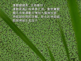 運動健健美 , 走路最好！ 運動是真正的青春之源。動物實驗顯示有氧運動可增加大腦微血管、神經細胞間的突觸、新生的神經細胞與神經生長因子，   