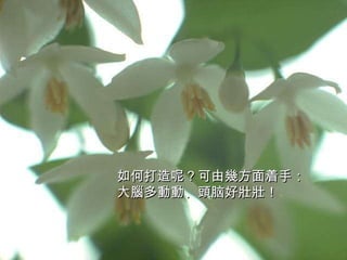 如何打造呢？可由幾方面着手：大腦多動動、頭脑好壯壯！  