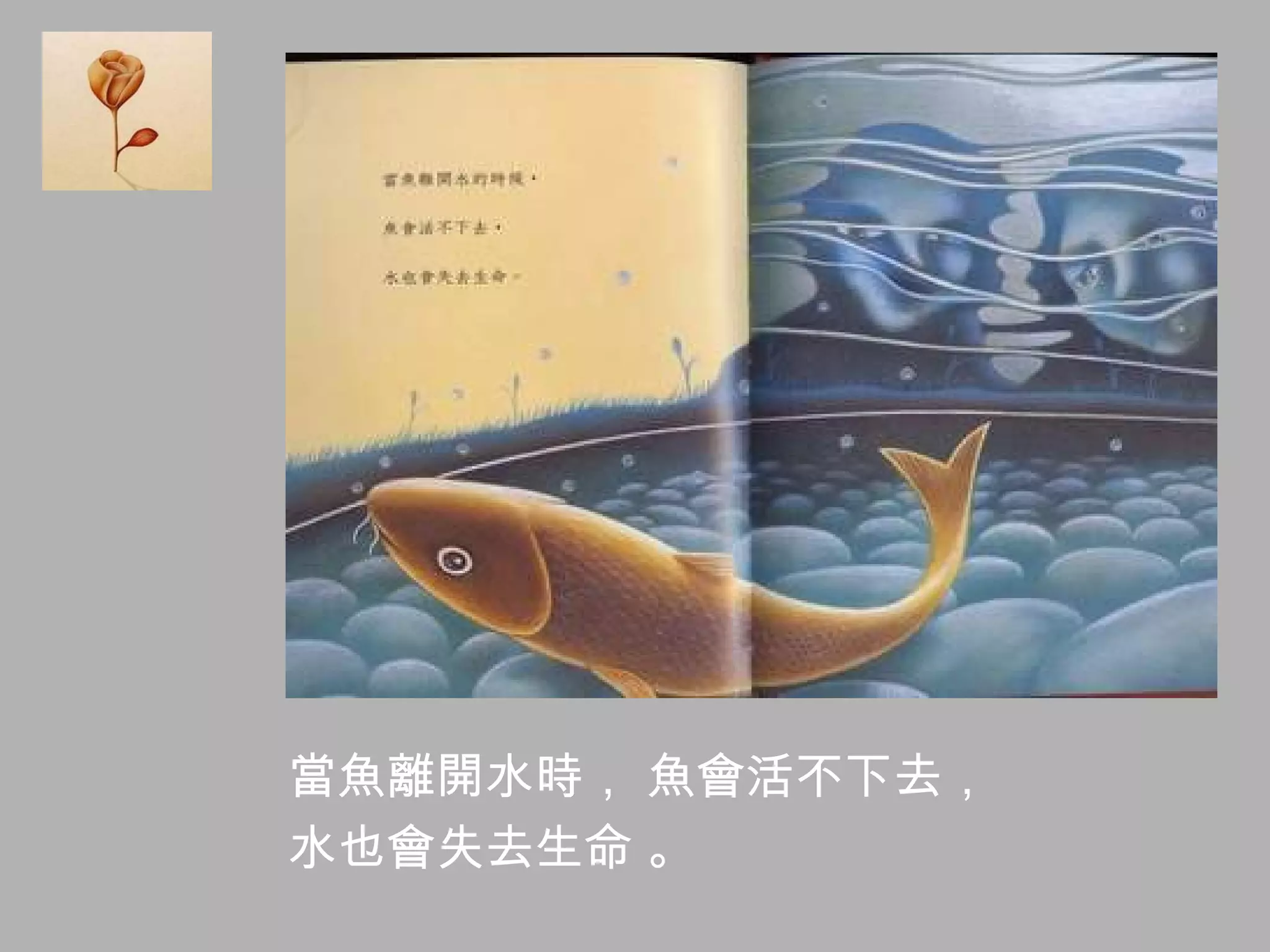 當魚離開水時， 魚會活不下去， 水也會失去生命 。  