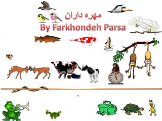 مهره داران By FarkhondehParsa 