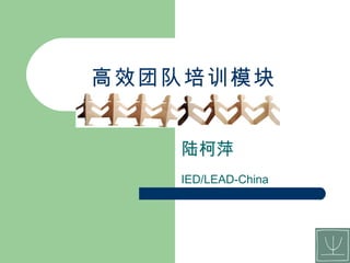 高效团队培训模块 陆柯萍 IED/LEAD-China 