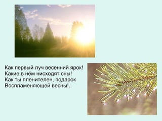 Как первый луч весенний ярок! Какие в нём нисходят сны! Как ты пленителен, подарок Воспламеняющей весны!.. 