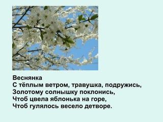 Веснянка С тёплым ветром, травушка, подружись, Золотому солнышку поклонись, Чтоб цвела яблонька на горе, Чтоб гулялось весело детворе. 