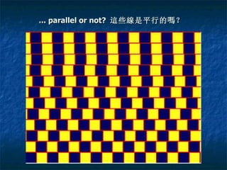 ... parallel or not?   這 些 線 是平行的 嗎 ？   