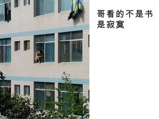 哥看的不是书 是寂寞 