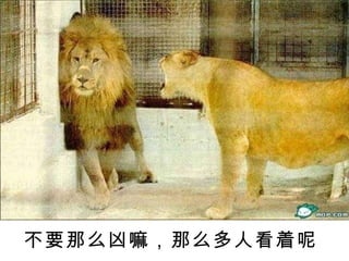 不要那么凶嘛，那么多人看着呢 