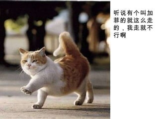 听说有个叫加菲的就这么走的，我走就不行啊 