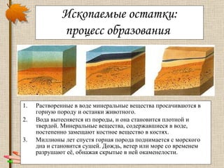 Растворенные в воде минеральные вещества просачиваются в горную породу и останки животного.  Вода вытесняется из породы, и она становится плотной и твердой. Минеральные вещества, содержавшиеся в воде, постепенно замещают костное вещество в костях.  Миллионы лет спустя горная порода поднимается с морского дна и становится сушей. Дождь, ветер или море со временем разрушают её, обнажая скрытые в ней окаменелости.  Ископаемые остатки: процесс образования   