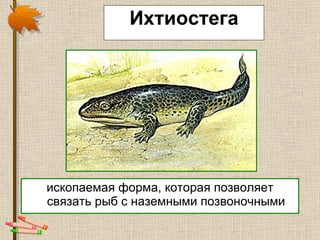 Ихтиостега ископаемая форма, которая позволяет связать рыб с наземными позвоночными 