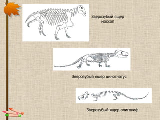 Зверозубый ящер мосхоп Зверозубый ящер циногнатус Зверозубый ящер олигокиф 
